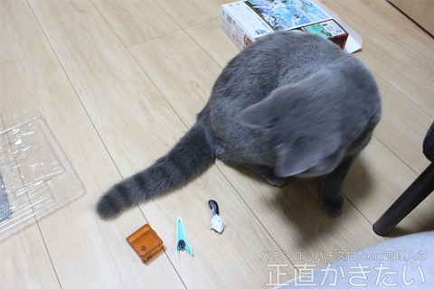 ラグりん022