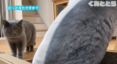 ぐみととら2035