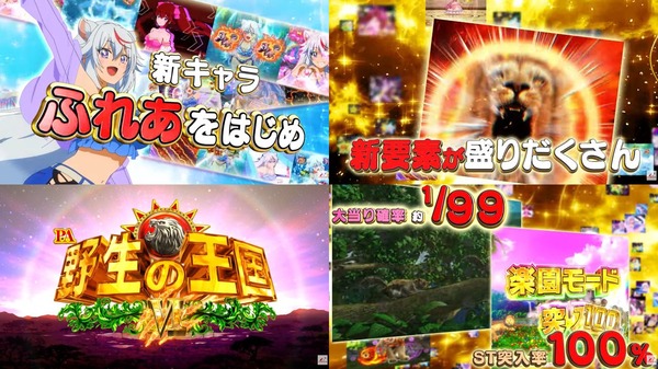 PA野生の王国Ⅵ02