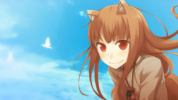 holo