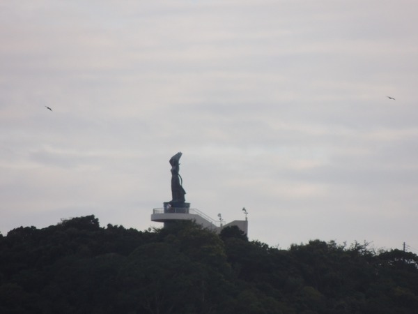 DSCN6504