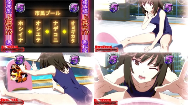 P化物語ロングPV14