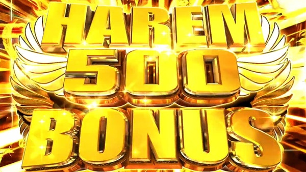 翔べ！ハーレムエース10