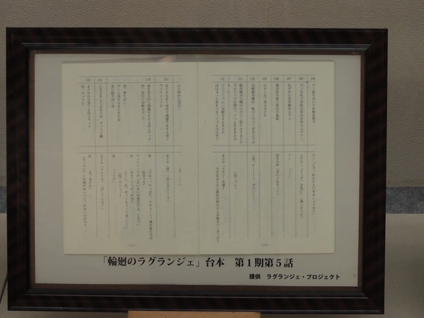 DSCN6362