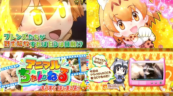 けものフレンズ14