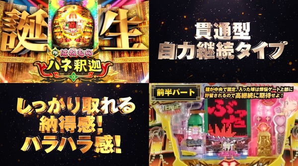 羽根釈迦02