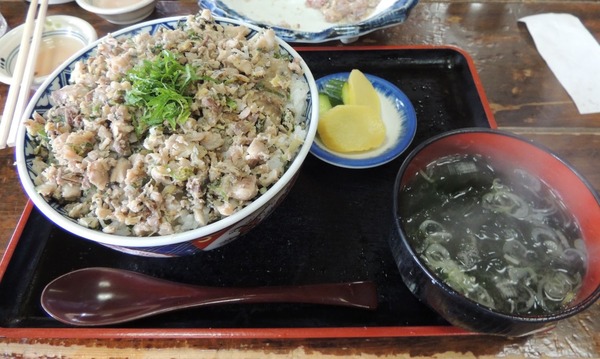 DSCN6313