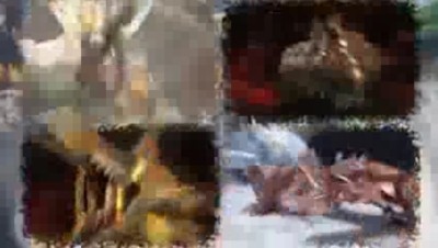 モンスターハンター月下雷鳴014