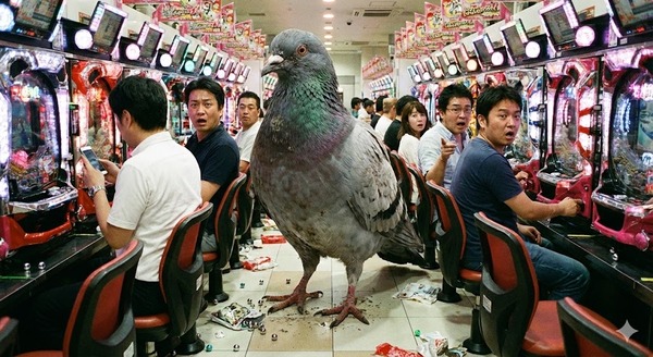 【画像】鳩さん、パチ屋に来店…元祖ハネスロ全6確定か！？