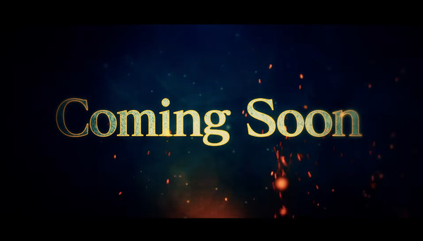 L 真・一騎当千08