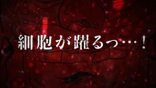 kaiji040