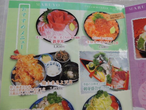 DSCN6309
