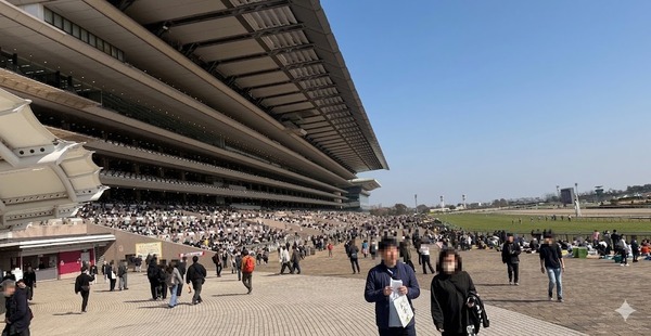 立憲民主党「JRAの競馬場で”アガる！”と喜ぶCMは（射幸心）を煽ってますよね？」　農水相「ほとんどの方は馬券外れている。当たる人の方が少ない」