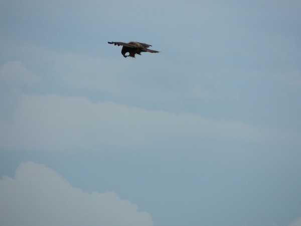 DSCN6295