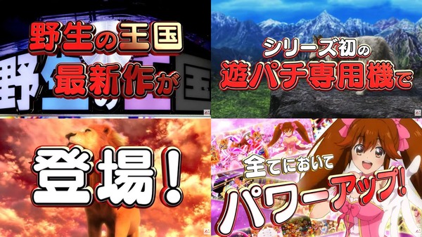 PA野生の王国Ⅵ01