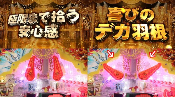 羽根釈迦04