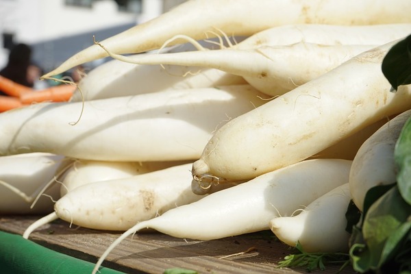 daikon