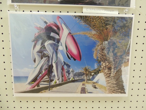 DSCN6462