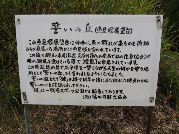 DSCN6256