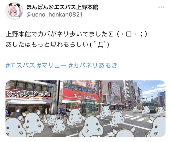 「カバがネリ歩いていた」←この店のグラフやデータが開示される。クッソ微妙でワロタ