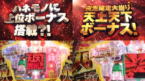 羽根釈迦06