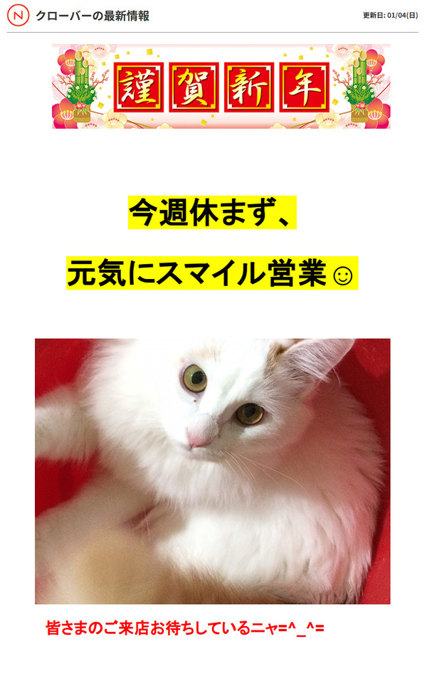 ppcom 2026-01-20 08-17-28-034