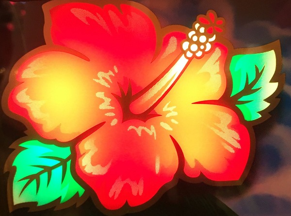 ジャグラーしか打たない人って何で沖ドキとかハナハナじゃダメなの？