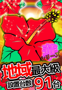 キクヤ春日井 ハナハナ
