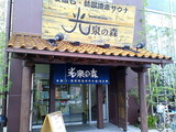 光泉の森