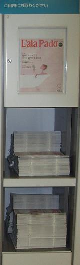 �����ȥ���å�