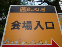 ����Τդ���