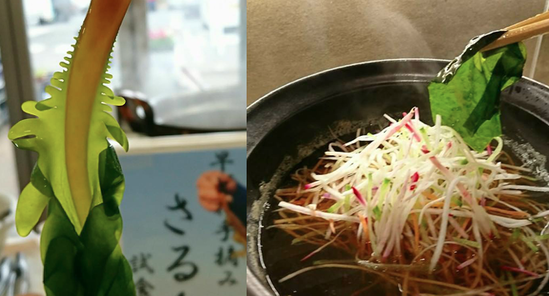 ����֤���֥參��