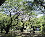 ���κ��������ʪ��