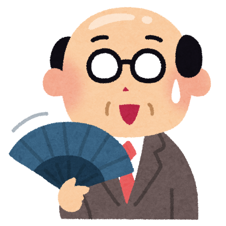 子供ワイ ハゲたらカツラとかヘアコンタクトで余裕で隠せるんやろ たちゃんねる