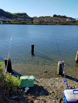 IMG20211023080057