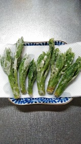 KIMG0454