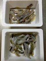 IMG20211023170320
