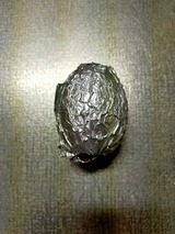 IMG20211121221009