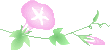 ico_asagao13