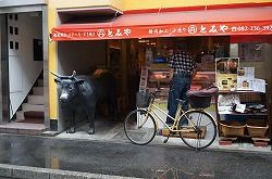 イメージ 11