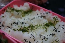 イメージ 10