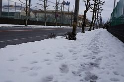 イメージ 23