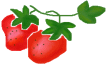 イメージ 8