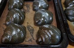 イメージ 5