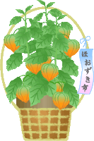 cut_hoozukiichi1