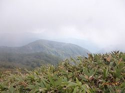 イメージ 10