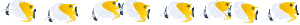 イメージ 10