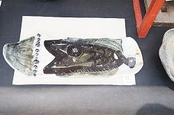 イメージ 7