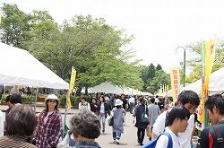 イメージ 6