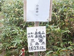 イメージ 9
